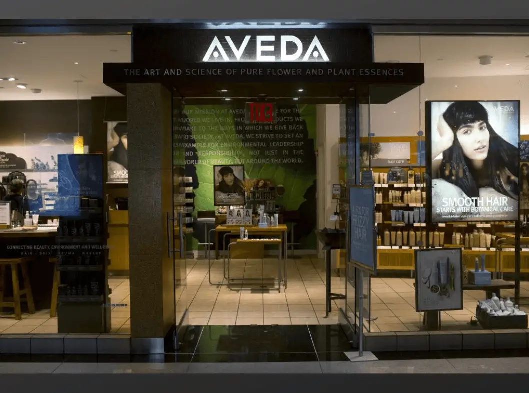 Aveda Mission and Vision Statements Analysis