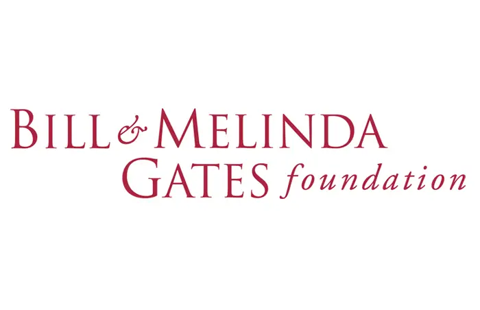 Bill And Melinda Gates Mission And Vision Statement Analysis