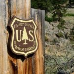 U.S. Forest Service Mission and Vision Statement Analysis
